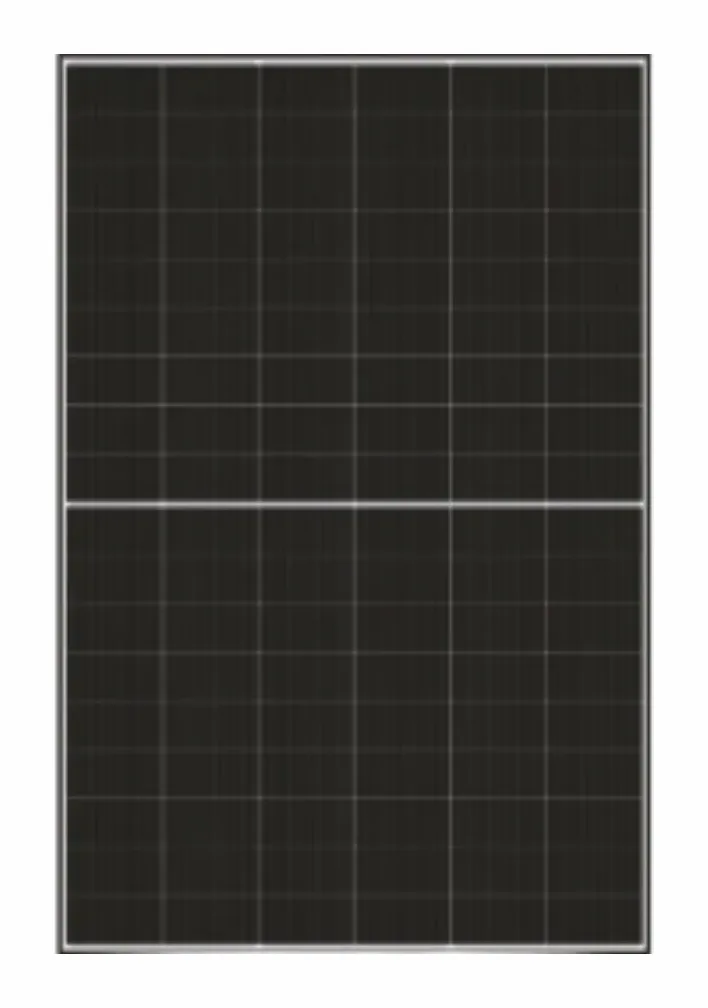 DMEGC DM460G12RT-B48HBT 460 Wp (glas-glas, bifaciaal)